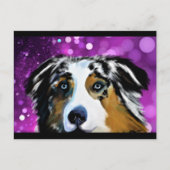 オーストラリア・シェパード ポストカード (正面)