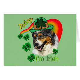 オーストラリア・シェパード・St patricks