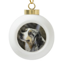 オーストラリア