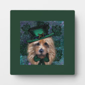 オーストラリア・テリア フォトプラーク (正面)