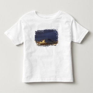 オーストラリア、ニューサウスウェールズ州、シドニー、シドニーオペラ座 3 トドラーTシャツ