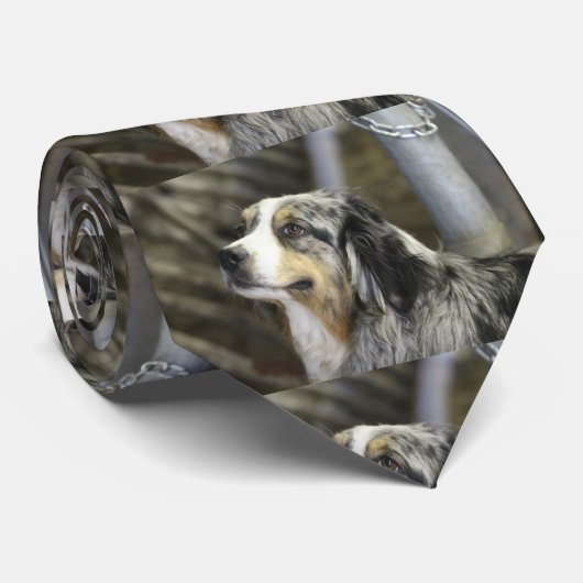 オーストラリア ネクタイ (ロール)