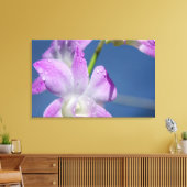 オーストラリア、ノーザンテリトリー、ダーウィン キャンバスプリント (インサイチュ (リビング))