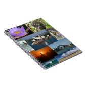 オーストラリア ノートブック (右側)