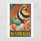 オーストラリア、バリアリーフのトロピック素晴らしフィッシュ ポストカード (正面)