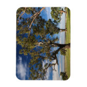 オーストラリア，バロッサバレー，山プレザント マグネット (縦)