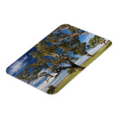 オーストラリア，バロッサバレー，山プレザント マグネット (左側)