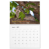 オーストラリア・ブッシュの鳥 カレンダー (3月 2027)