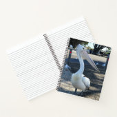 オーストラリア；ペリカン – 旅行 ノートブック (内部)