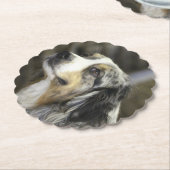 オーストラリア ペーパーコースター (アングル)