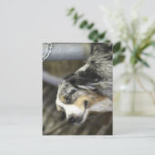 オーストラリア ポストカード (スタンド正面)