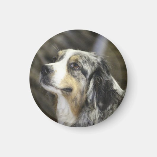 オーストラリア マグネット (正面)