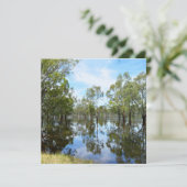 オーストラリア・マレー川 シーズンカード (スタンド正面)