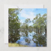 オーストラリア・マレー川 シーズンカード (裏面)