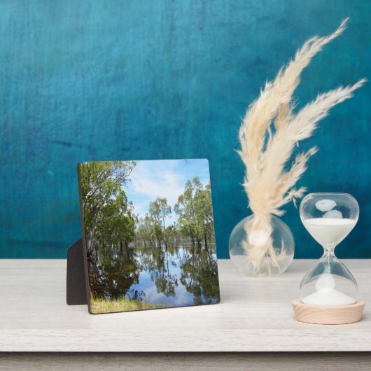 オーストラリア・マレー川 フォトプラーク (インサイチュ)