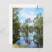 オーストラリア・マレー川 ポストカード (正面/裏面)