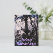 オーストラリア，ユネスコのゴンドワナ山脈 ポストカード (スタンド正面)