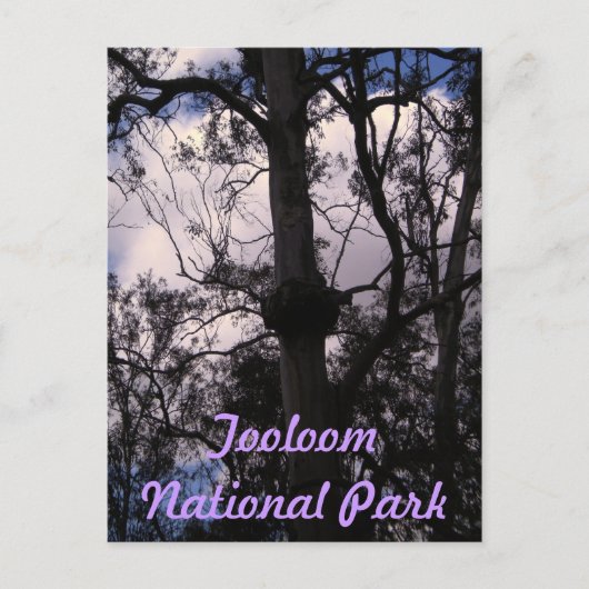 オーストラリア，ユネスコのゴンドワナ山脈 ポストカード (正面)