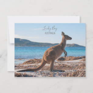 オーストラリア・ラッキーベイKangarooのビーチ写真 ポストカード