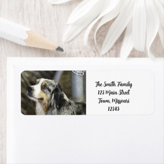 オーストラリア ラベル (インサイチュ)