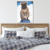 オーストラリア，ロッツネスト島，クオッカ キャンバスプリント (インサイチュ (寝室))