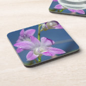 オーストラリア、北部領土、ダーウィン コースター (左側)