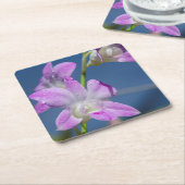 オーストラリア、北部領土、ダーウィン スクエアペーパーコースター (アングル)