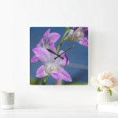 オーストラリア、北部領土、ダーウィン スクエア壁時計 (ホーム)