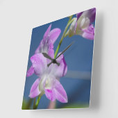 オーストラリア、北部領土、ダーウィン スクエア壁時計 (傾斜)