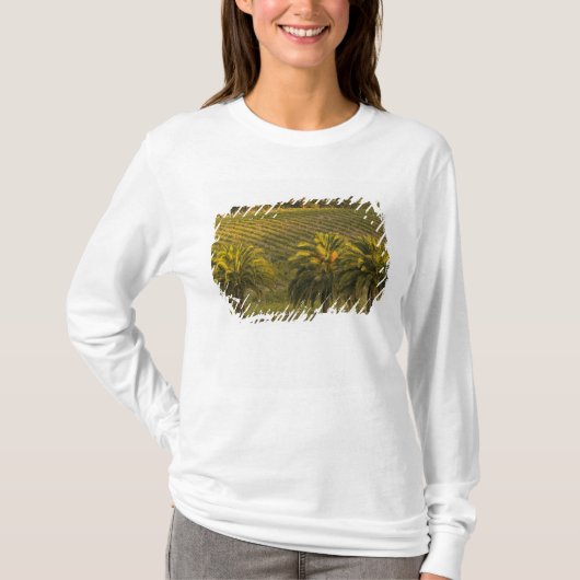 オーストラリア, 南オーストラリア州, バロッサバレー, Tシャツ (正面)