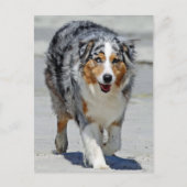 オーストラリア – 夏の1日目のビーチ散歩 ポストカード (正面)