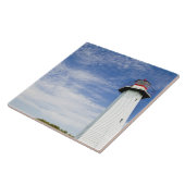 オーストラリア、州、クリーブランド。次の操作 タイル (側面)