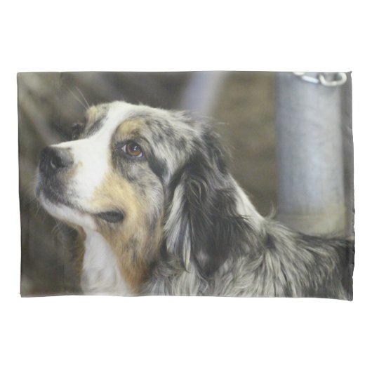 オーストラリア 枕カバー (正面)