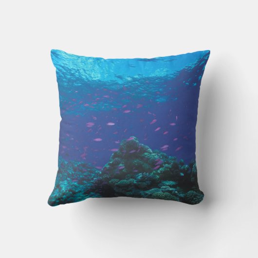 オーストラリア、素晴らしバリアリーフ。サワーニングパープル クッション (裏面)