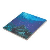 オーストラリア、素晴らしバリアリーフ。サワーニングパープル タイル (側面)