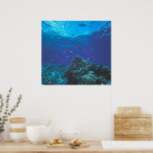 オーストラリア、素晴らしバリアリーフ。サワーニングパープル ポスター (キッチン)