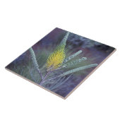 オーストラリア、NT、エアーズ·ロック近く。春の開花 タイル (側面)