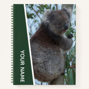 オーストラリアKoalaクローズアップポートレートグリーン ノートブック