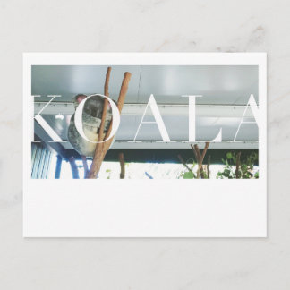 オーストラリアKoalaポストカード ポストカード