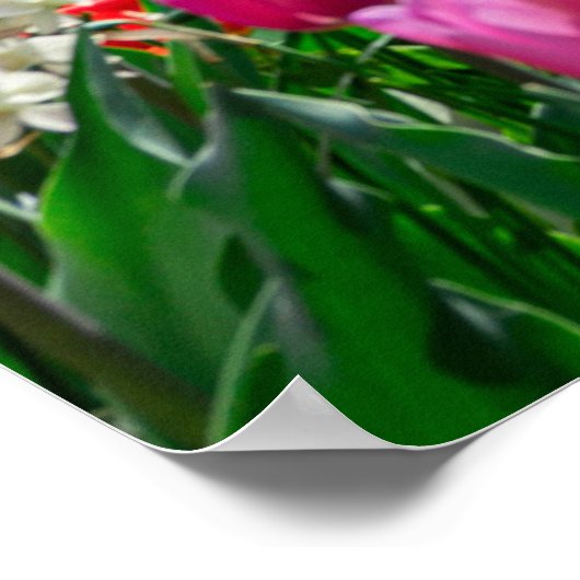 オーストリアのウィーンにある春の聖チャールズ教会 ポスター (角)