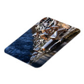 オーストリアのハルスタットにある木製の湖畔の家 マグネット (左側)