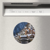 オーストリアのハルスタットにある木製の湖畔の家 マグネット (インサイチュ (食洗機))