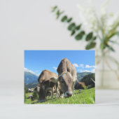 オーストリアの可愛い牛 ポストカード (スタンド正面)