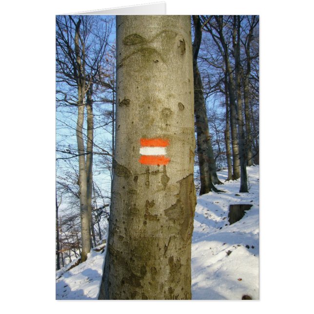 オーストリアの木 (正面)