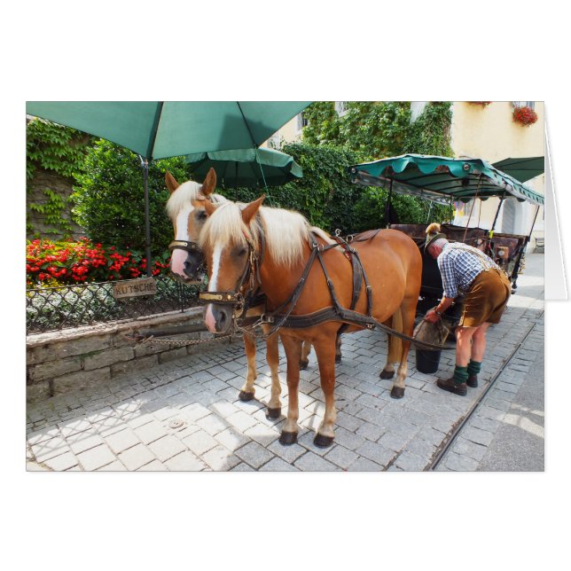 オーストリアの聖ウォルフガング (正面横)