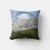 オーストリアアルプスイン夏期 クッション (正面)