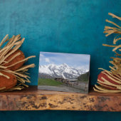 オーストリアアルプスカスタム歯垢 フォトプラーク (側面)