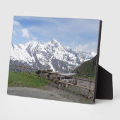 オーストリアアルプスカスタム歯垢 フォトプラーク (側面)