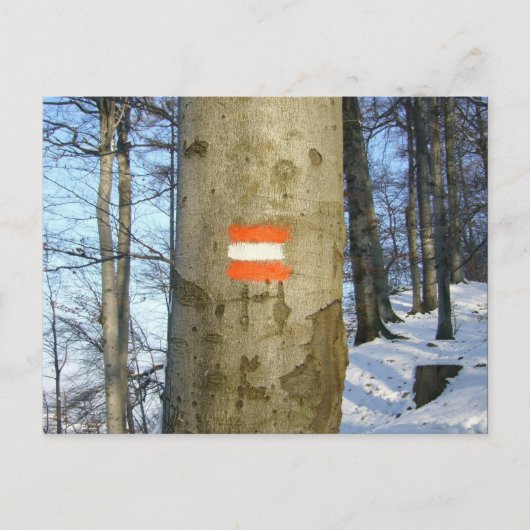 オーストリア国旗の冬 ポストカード (正面)