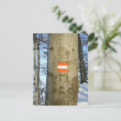 オーストリア国旗の木 ポストカード (スタンド正面)